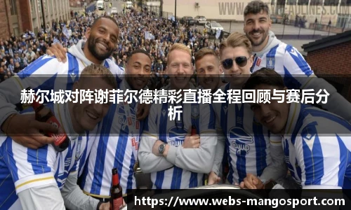 赫尔城对阵谢菲尔德精彩直播全程回顾与赛后分析